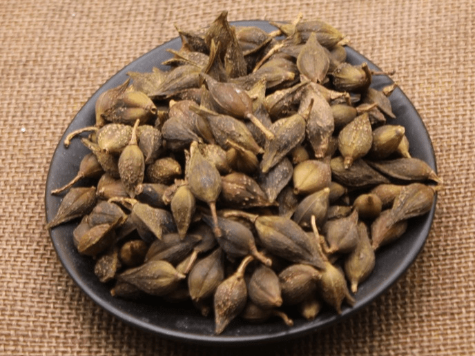 连翘_副本.png undefined