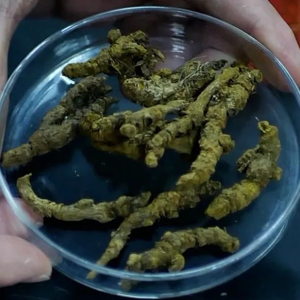 图片9.jpg undefined